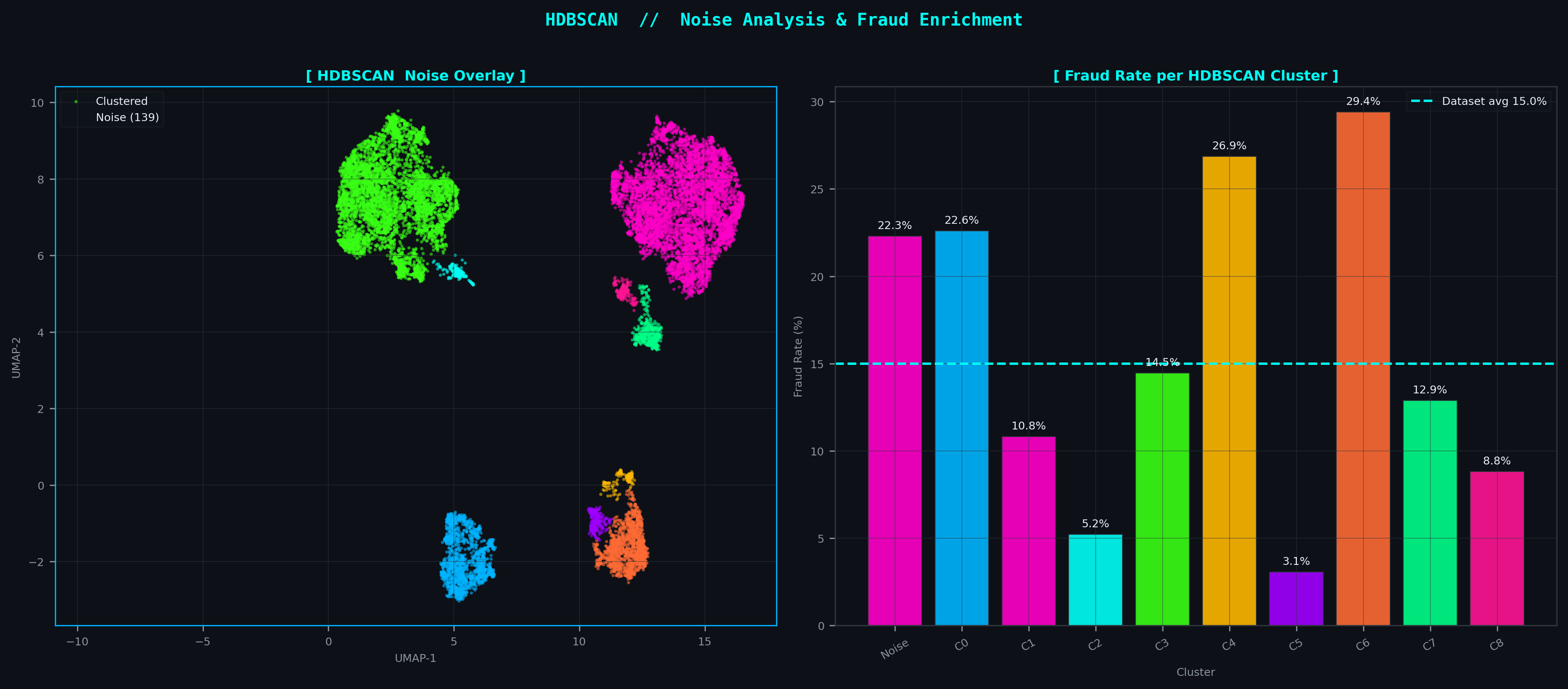HDBSCAN noise analysis and fraud enrichment
